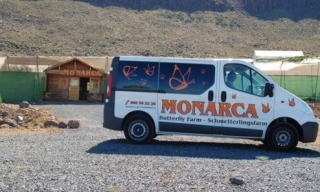Monarca Butterfly Park irá a recogerle